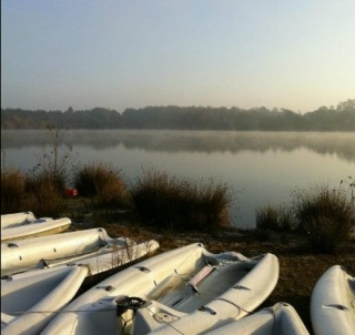 Powerboats beside the lake.jpg